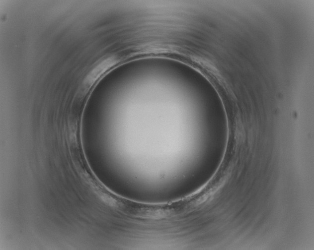 X0000064051273200601271218