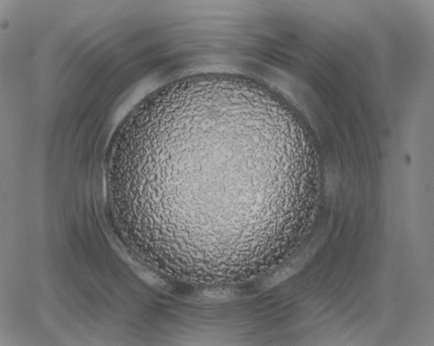 X0000064051274200601271218
