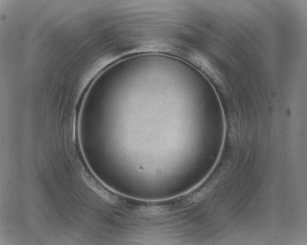 X0000064051276200601271218