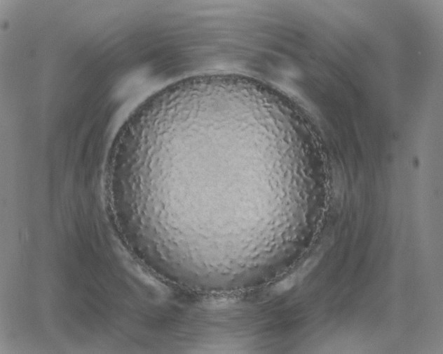 X0000064051278200601271218