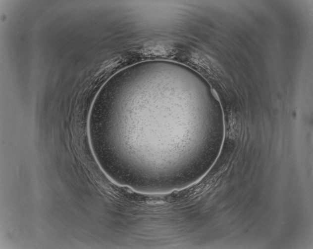 X0000064051297200601271217