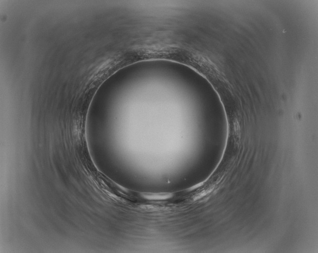 X0000064051300200601271217