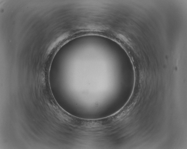X0000064051307200601271217