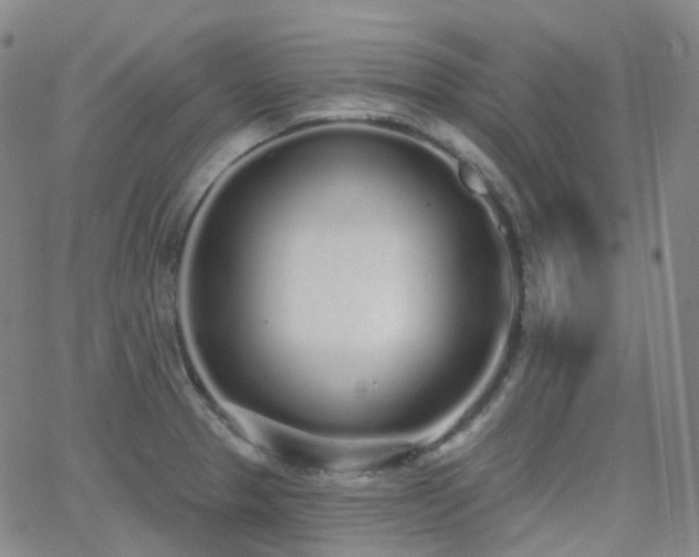 X0000064051329200601271217