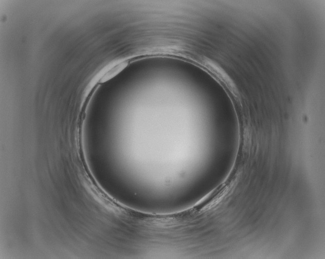 X0000064051340200601271217