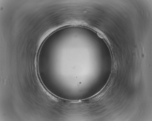 X0000064051343200601271218