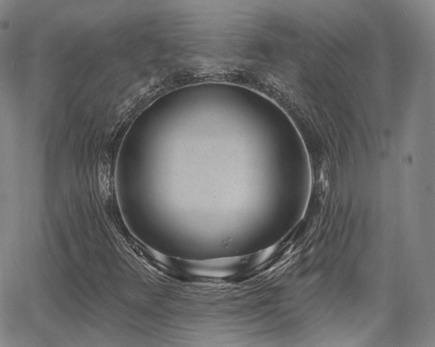 X0000064051348200601271217