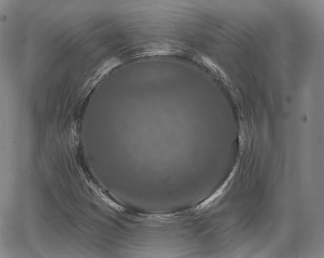 X0000064051353200601271217