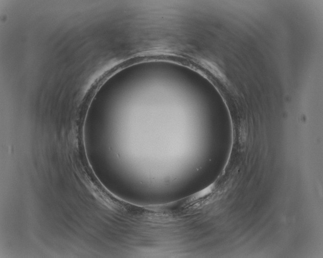 X0000064051356200601271217