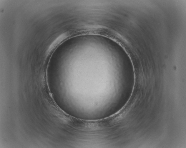 X0000064051362200601271216