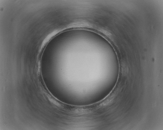 X0000064051366200601271216