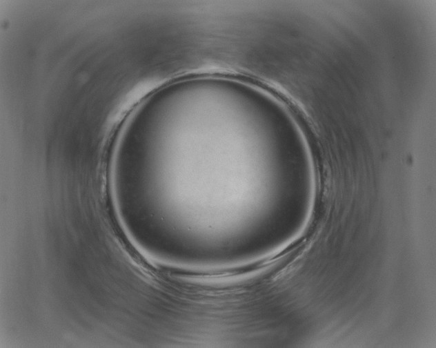 X0000064051367200601271216