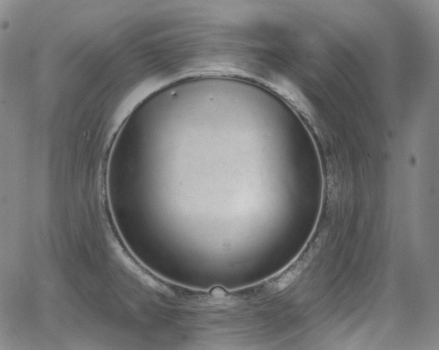 X0000064051382200601271216
