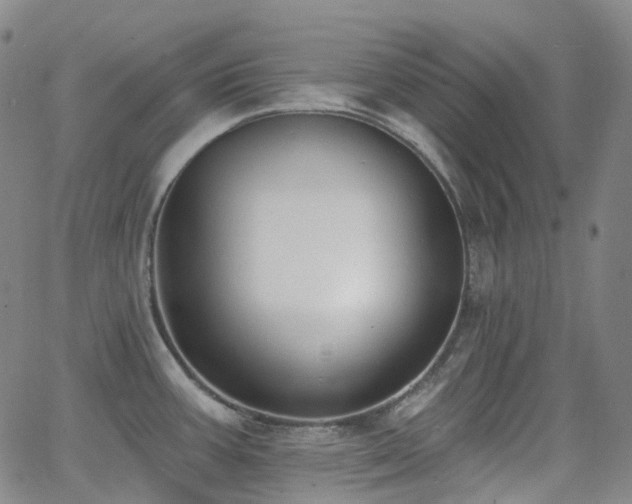 X0000064051387200601271216