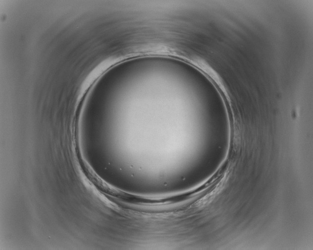 X0000064051389200601271216