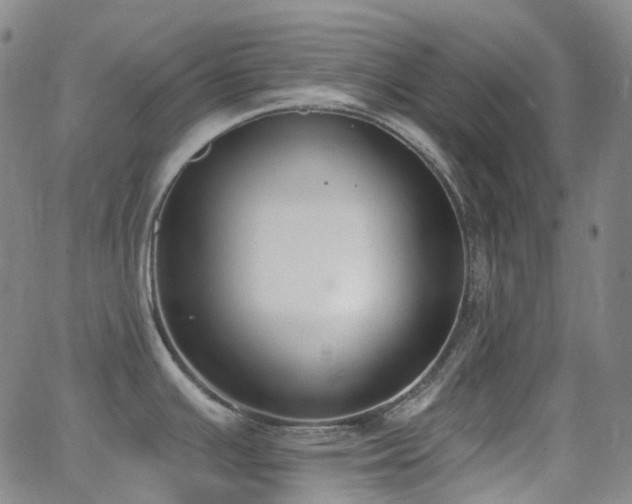 X0000064051391200601271216