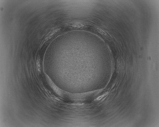 X0000064051394200601271215