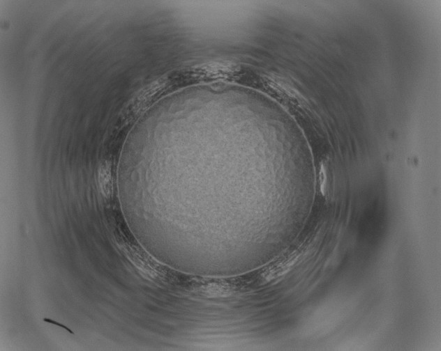 X0000064051395200601271215