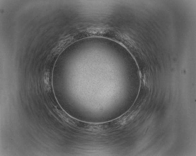 X0000064051396200601271215