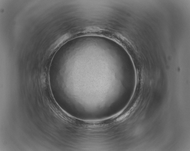 X0000064051401200601271215