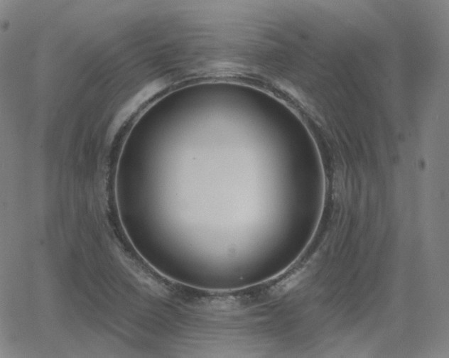 X0000064051410200601271216