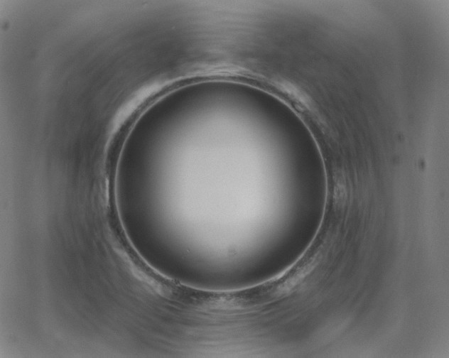 X0000064051414200601271216