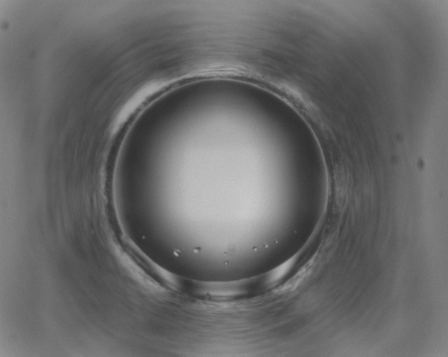 X0000064051422200601271216