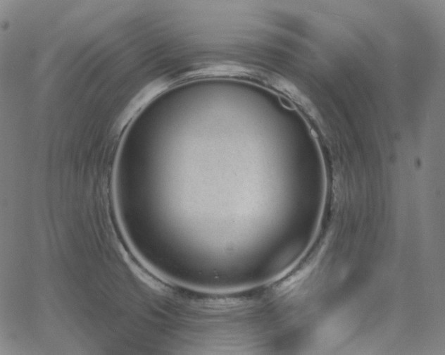 X0000064051425200601271216
