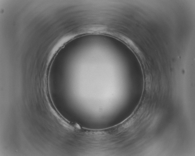 X0000064051432200601271216