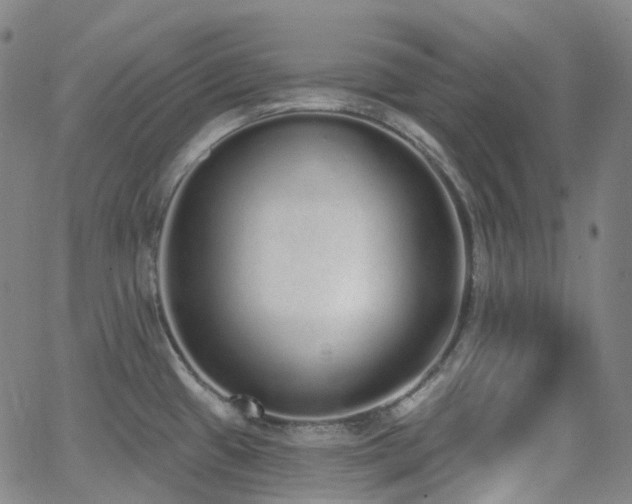 X0000064051433200601271216