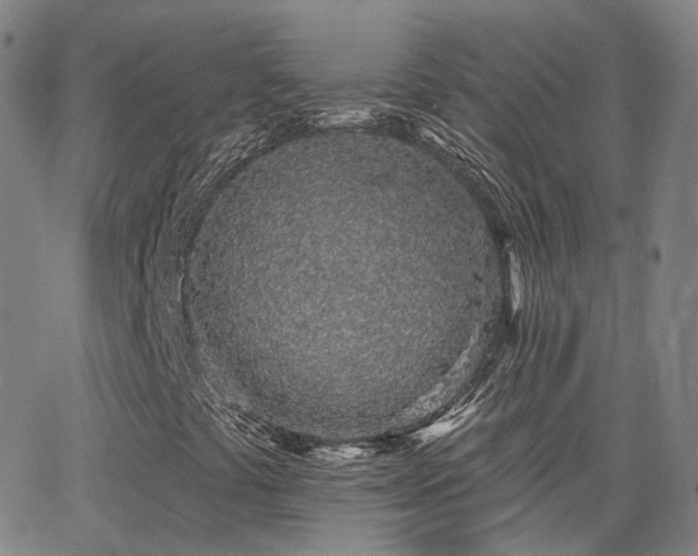 X0000064051441200601271215