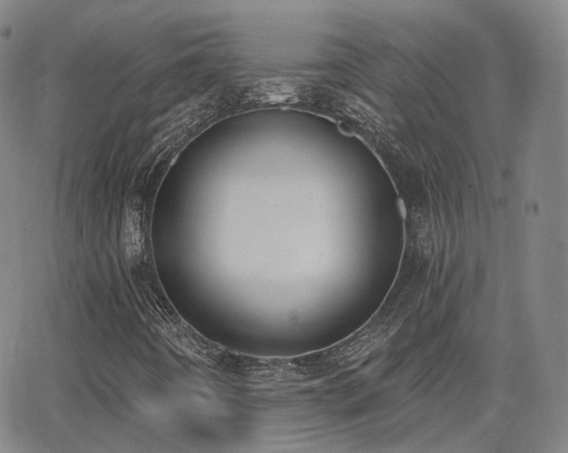 X0000064051442200601271215