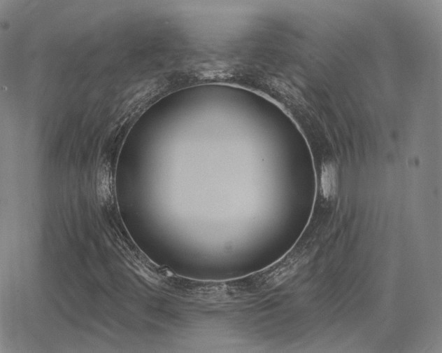 X0000064051444200601271215