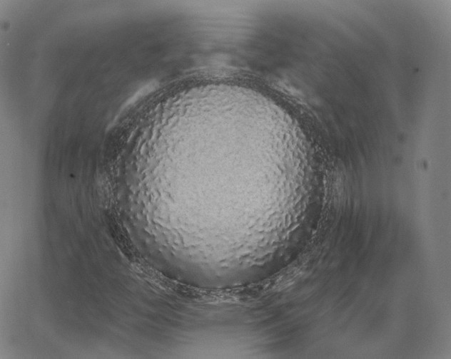 X0000064051446200601271215