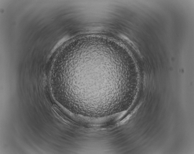 X0000064051449200601271215