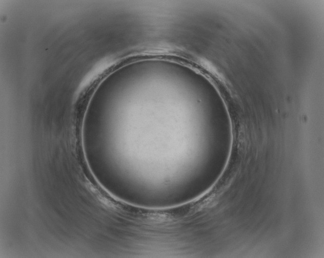 X0000064051456200601271215