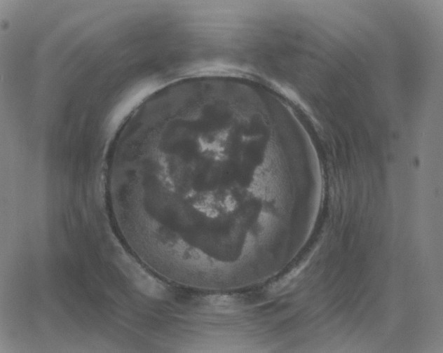 X0000064051463200601271215