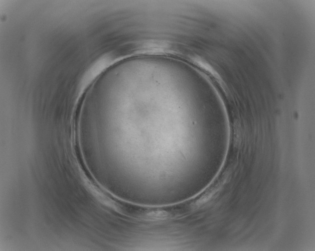 X0000064051467200601271215