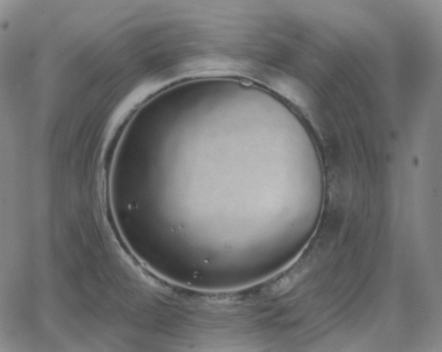 X0000064051472200601271215