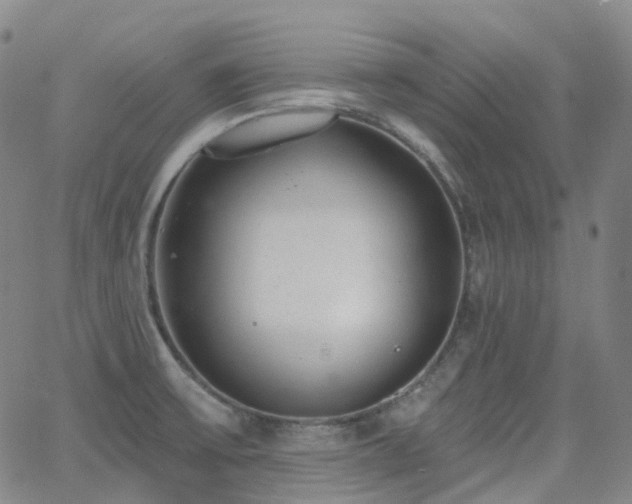 X0000064051475200601271215