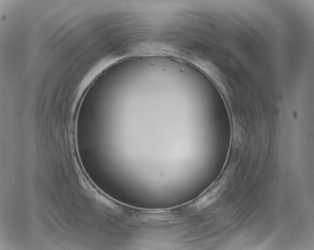 X0000064051486200601271214