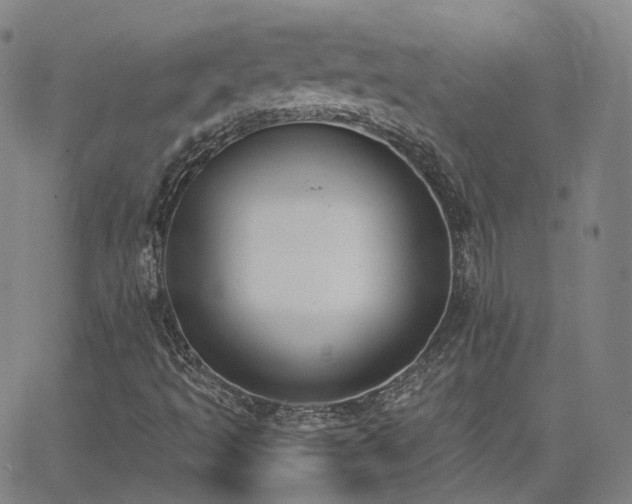 X0000064051493200601271214