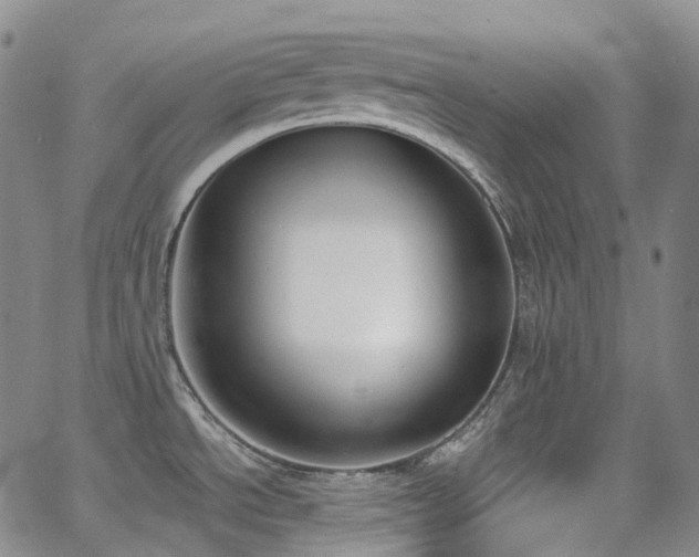 X0000064051534200601271214