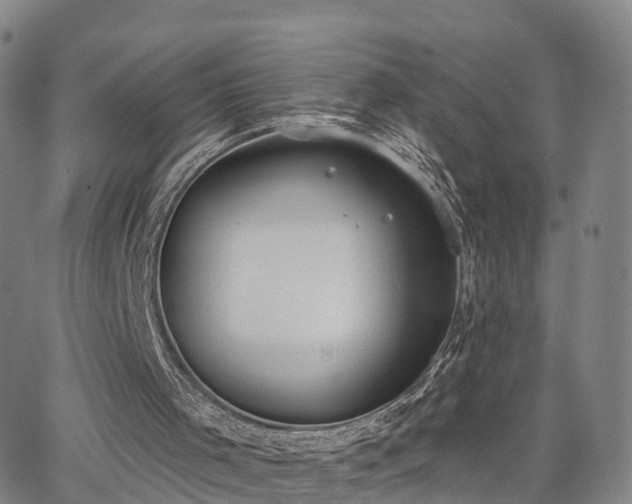 X0000064050001200601301225