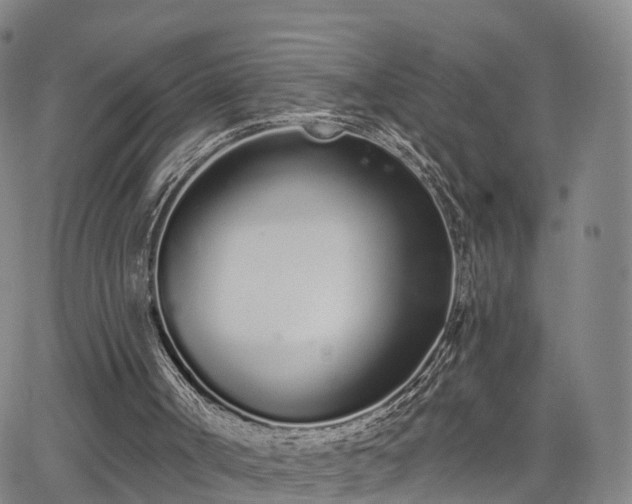 X0000064050002200601301225