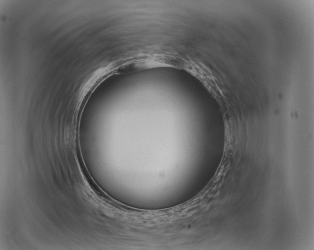 X0000064050003200601301225