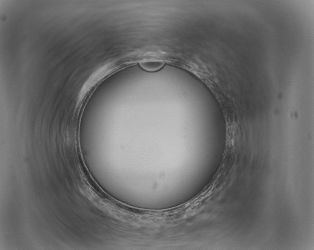 X0000064050004200601301225