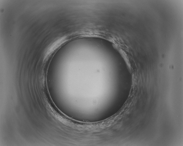 X0000064050005200601301225