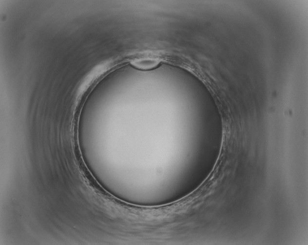 X0000064050006200601301225