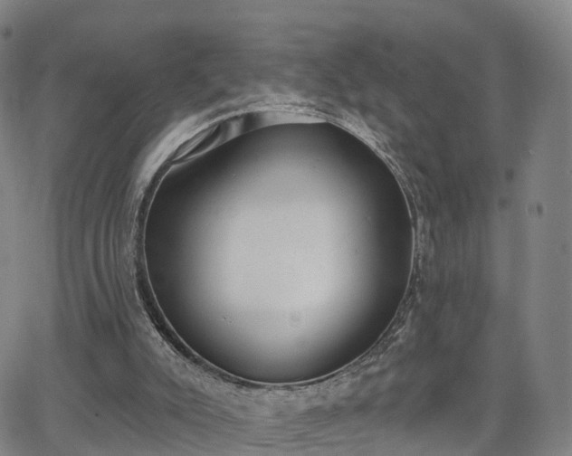 X0000064050007200601301225